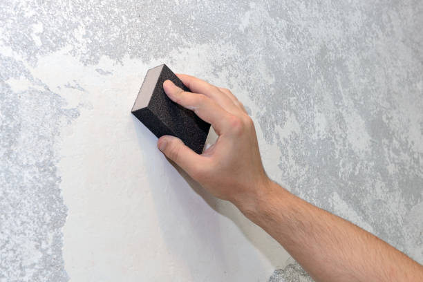 Best Real Estate Mold Inspection  in Mariemont, OH