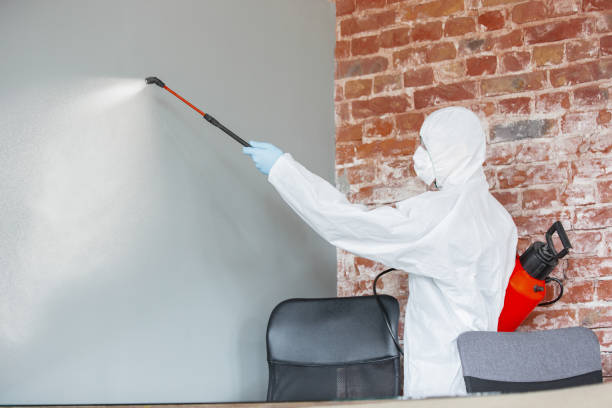 Best Mold Remediation for Rental Properties  in Mariemont, OH
