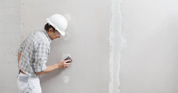 Best Residential Mold Inspection & Testing  in Mariemont, OH