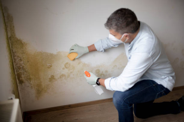 Asbestos and Lead Testing During Mold Inspection in Mariemont, OH
