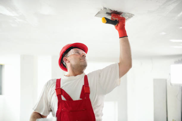 Best Biohazard Mold Removal  in Mariemont, OH