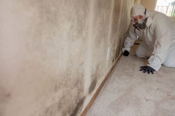 Best Crawl Space Mold Remediation  in Mariemont, OH
