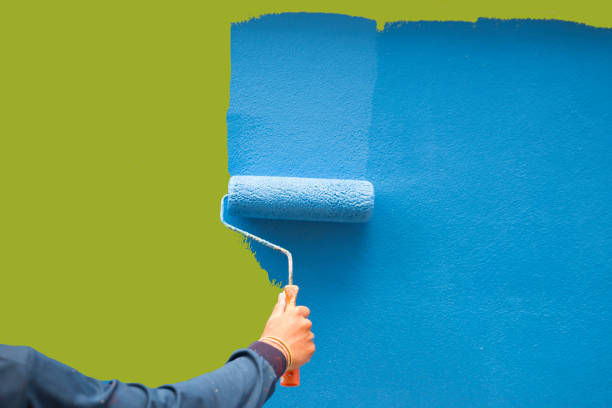 Reliable Mariemont, OH Mold Removal Solutions